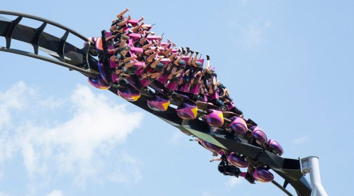 Purchase Amusement Roller Coaster Rides from China